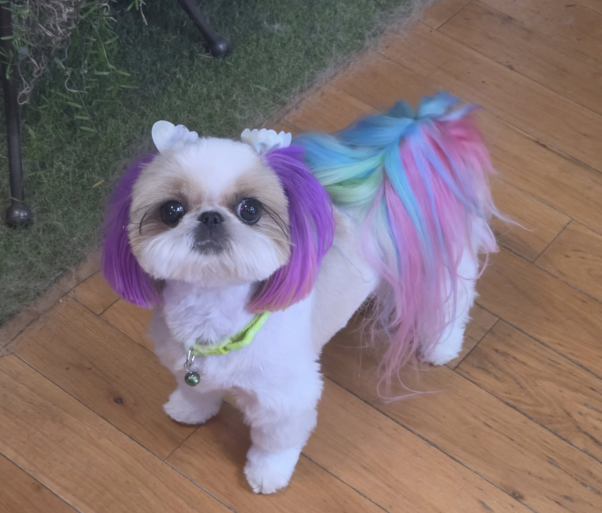 525160369 122104510856954436 3211565319634526739 n