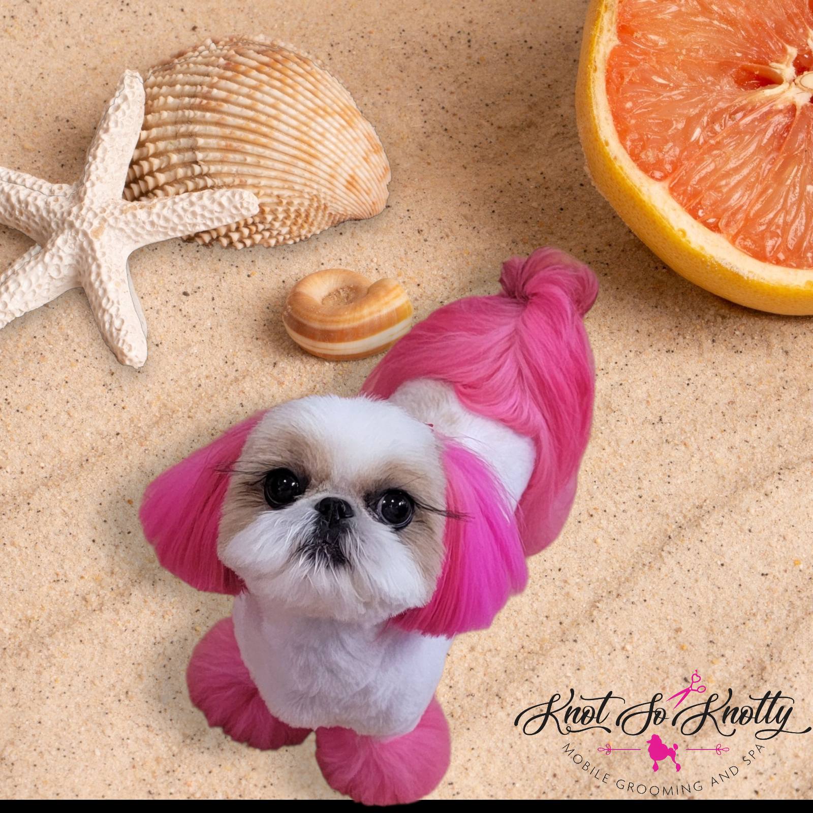 538563421 122116464188954436 938066305506427470 n