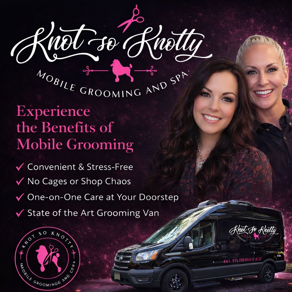 645972206 122153660672954436 1281984172912843070 n